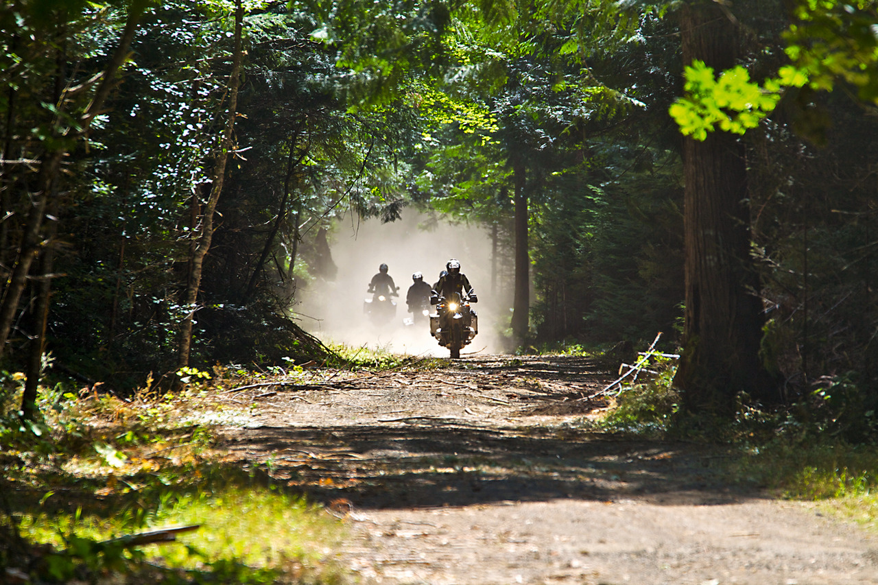 Мотоцикл дорога лес